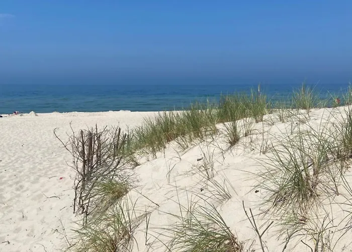 Hébergement de vacances Pod Brzoza Sianow